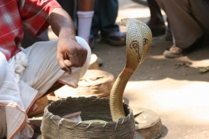 Balu
