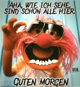 TheChief