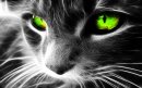 Helcat