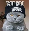 NibblesDaCat