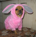 SheeZa
