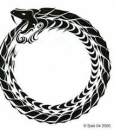 Scalapendra