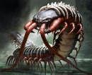 Arthropod