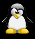 LinuxoidH