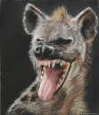 Hyena