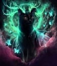 Zikki