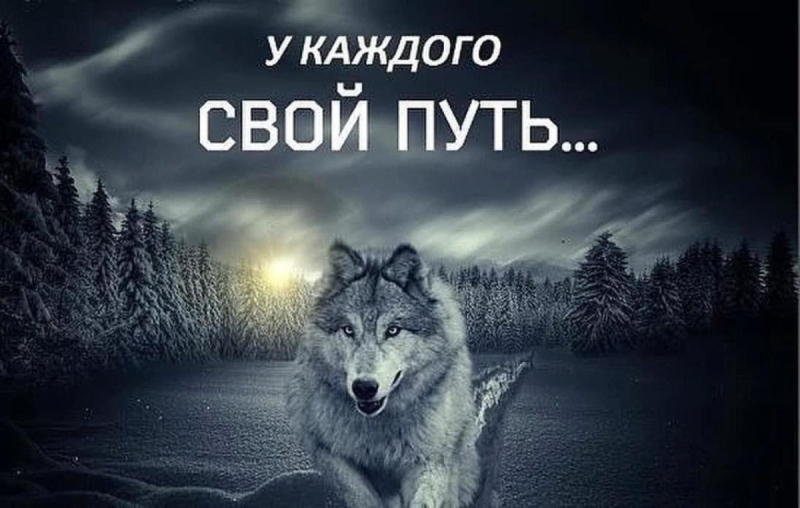 Прикреплённая картинка